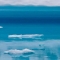 El Ártico es el océano que más rápido se acidifica, tanto en extensión como en profundidad